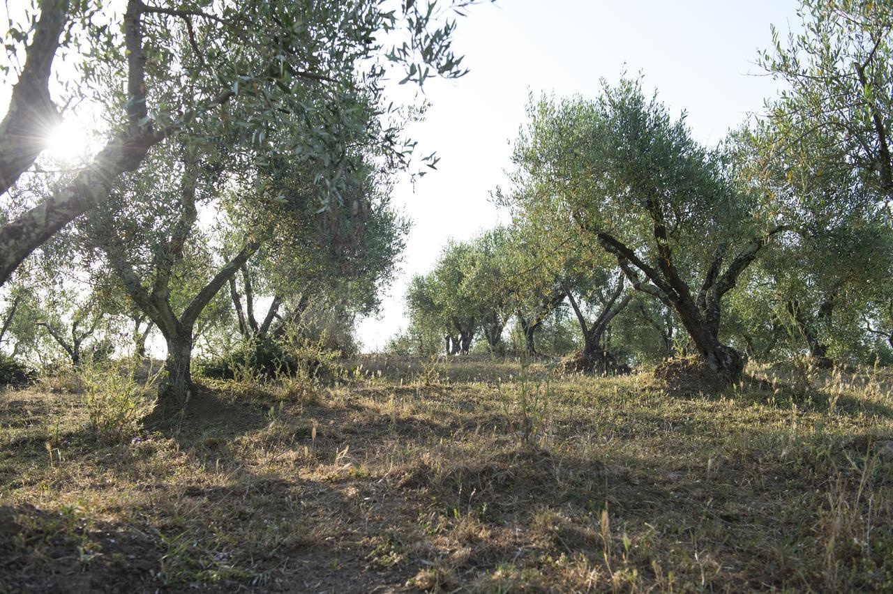 Agriturismo Poggio Corbello La Pesta Exterior foto